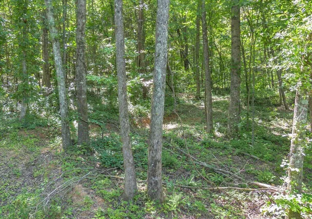15th image of 5545 Francis Springs, Whitwell, TN 37397 | MLS# 1539870