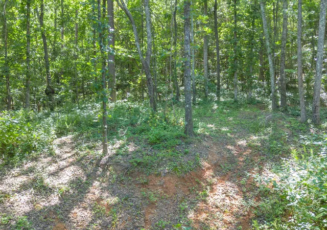 Photo 3 of Land for sale at 5545 Francis Springs, Whitwell, TN 37397 | MLS# 1539870 | Listing updated on 2026-08-29