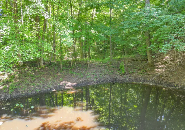 Photo 4 of Land for sale at 5545 Francis Springs, Whitwell, TN 37397 | MLS# 1539870 | Listing updated on 2026-08-29