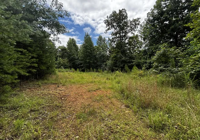 1st image of 0 Orme Mountain Rd, South Pittsburg, TN 37380 | MLS# 1539993