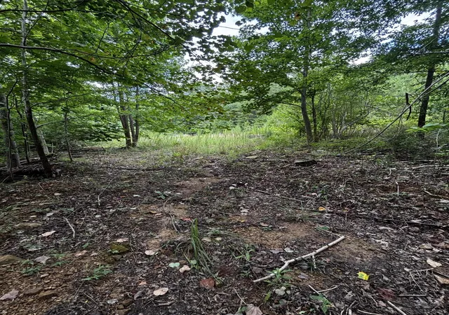 3rd image of 0 Orme Mountain Rd, South Pittsburg, TN 37380 | MLS# 1539993