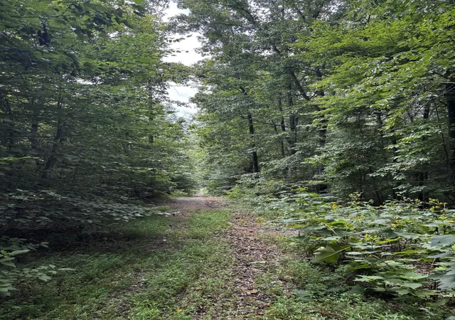 4th image of 0 Orme Mountain Rd, South Pittsburg, TN 37380 | MLS# 1539993