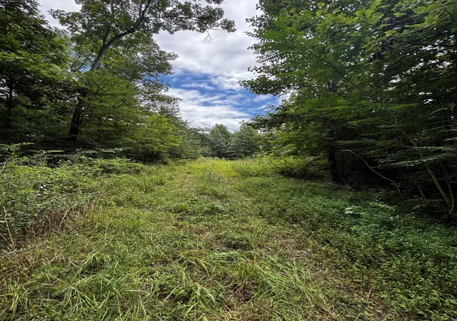 5th image of 0 Orme Mountain Rd, South Pittsburg, TN 37380 | MLS# 1539993