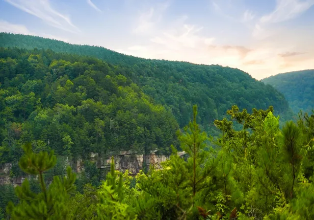 Photo 3 of Land for sale at 0 Worley Rd #10, Soddy Daisy, TN 37379 | MLS# 1540700 | Listing updated on 2026-08-24