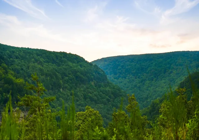 Photo 4 of Land for sale at 0 Worley Rd #10, Soddy Daisy, TN 37379 | MLS# 1540700 | Listing updated on 2026-08-24