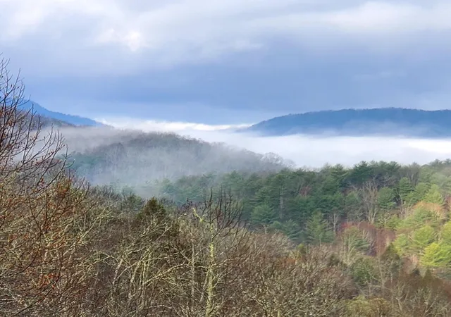 107th image of 154 High Top Rd, Reliance, TN 37369 | MLS# 1539989