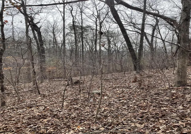 5th image of 0 Swanson Rd, Ringgold, GA 30736 | MLS# 1540004