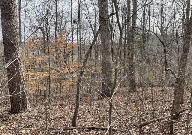 Photo 2 of Land for sale at 0 Swanson Rd, Ringgold, GA 30736 | MLS# 1540004 | Listing updated on 2026-10-12