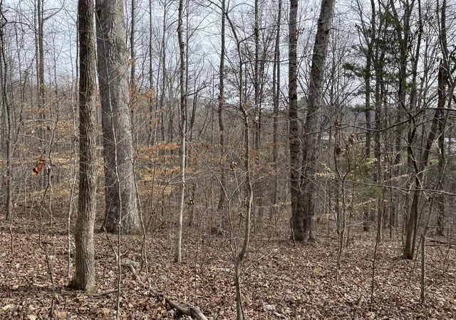 Photo 3 of Land for sale at 0 Swanson Rd, Ringgold, GA 30736 | MLS# 1540004 | Listing updated on 2026-10-12