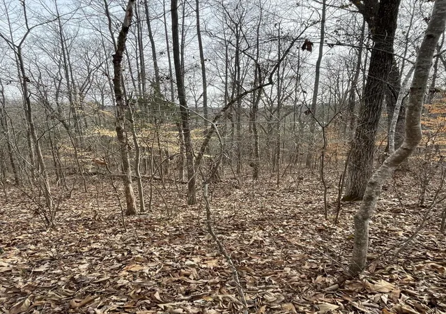 Photo 4 of Land for sale at 0 Swanson Rd, Ringgold, GA 30736 | MLS# 1540004 | Listing updated on 2026-10-12