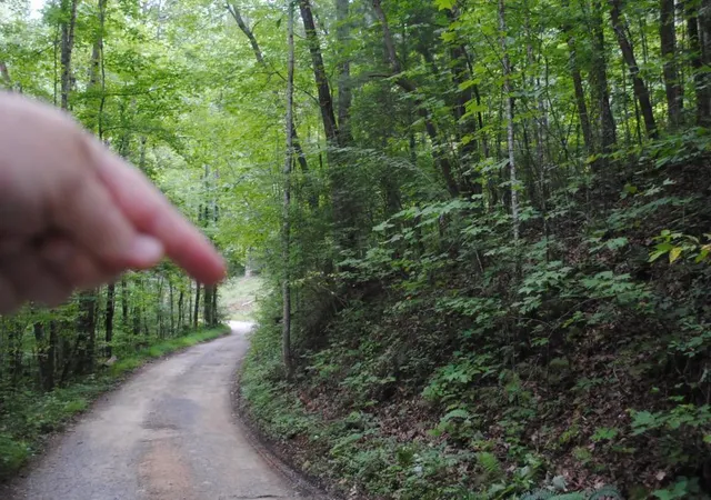 Photo 2 of Land for sale at 600 Dickerson Dr, Ellijay, GA 30536 | MLS# 1540005 | Listing updated on 2026-09-12