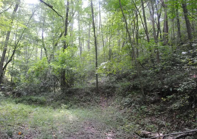 Photo 3 of Land for sale at 600 Dickerson Dr, Ellijay, GA 30536 | MLS# 1540005 | Listing updated on 2026-09-12