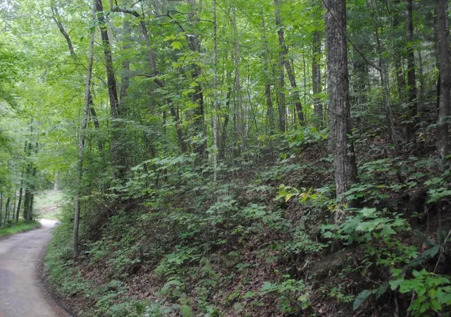 Photo 51 of Land for sale at 600 Dickerson Dr, Ellijay, GA 30536 | MLS# 1540005 | Listing updated on 2026-09-12