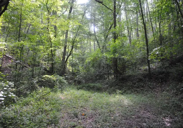 Photo 4 of Land for sale at 600 Dickerson Dr, Ellijay, GA 30536 | MLS# 1540005 | Listing updated on 2026-09-12
