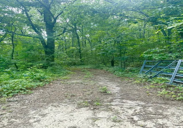 Photo 4 of Land for sale at 0 New Ridge & Newt Johnson Rd, Chickamauga, GA 30707 | MLS# 1540022 | Listing updated on 2026-08-04