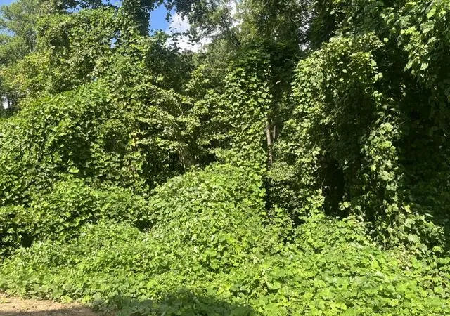 Photo 1 of Land for sale at 8819 Gann Rd #2, Soddy Daisy, TN 37379 | MLS# 1540023 | Listing updated on 2026-08-04