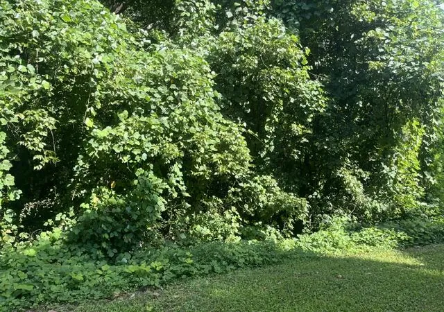 Photo 3 of Land for sale at 8819 Gann Rd #2, Soddy Daisy, TN 37379 | MLS# 1540023 | Listing updated on 2026-08-04