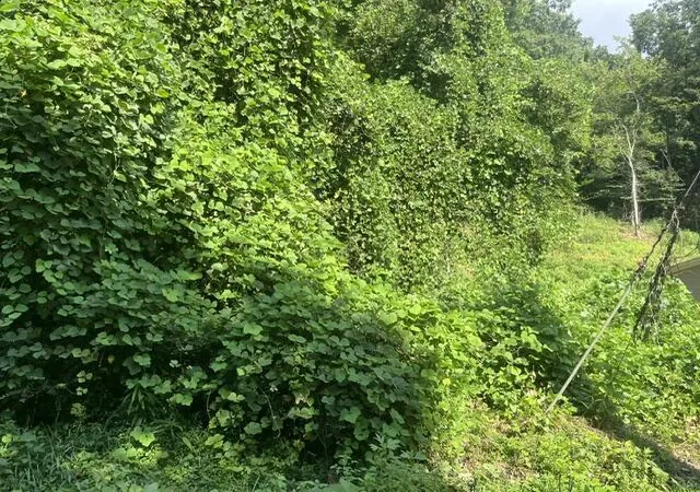 2nd image of 8813 Gann Rd #5, Soddy Daisy, TN 37379 | MLS# 1540024