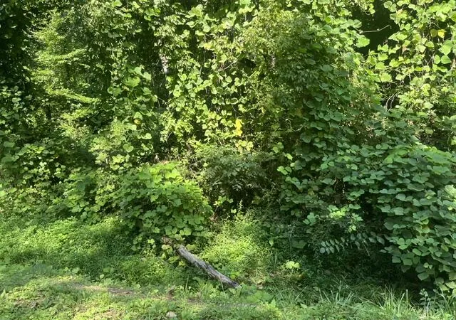 4th image of 8813 Gann Rd #5, Soddy Daisy, TN 37379 | MLS# 1540024