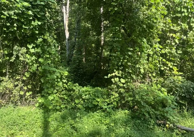 5th image of 8813 Gann Rd #5, Soddy Daisy, TN 37379 | MLS# 1540024