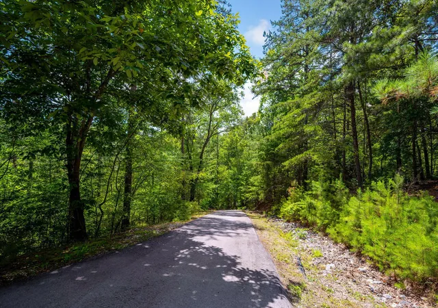 45th image of 288 Five Points Rd, Dayton, TN 37321 | MLS# 1540162