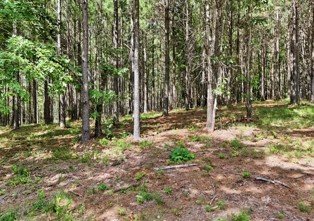 Photo 3 of Land for sale at 0 Worley Rd #2, Soddy Daisy, TN 37379 | MLS# 1540241 | Listing updated on 2026-08-24