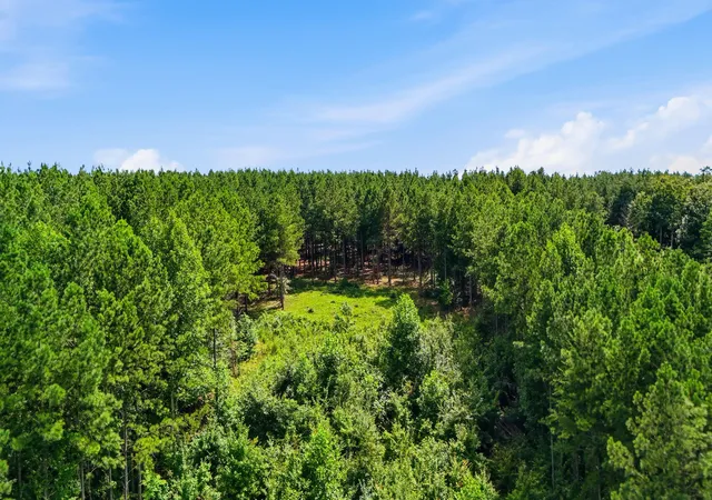 Photo 4 of Land for sale at 0 Worley Rd #2, Soddy Daisy, TN 37379 | MLS# 1540241 | Listing updated on 2026-08-24