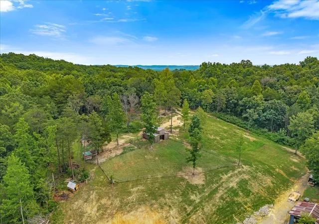 54th image of 605 Clear Creek Rd, Evensville, TN 37332 | MLS# 1540155