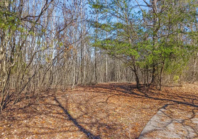 21st image of 0 Ware Farms Rd, Spring City, TN 37381 | MLS# 1540158