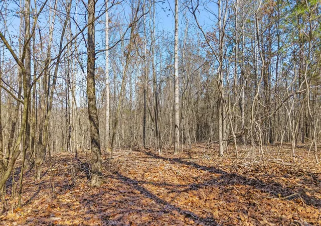 2nd image of 0 Ware Farms Rd, Spring City, TN 37381 | MLS# 1540158