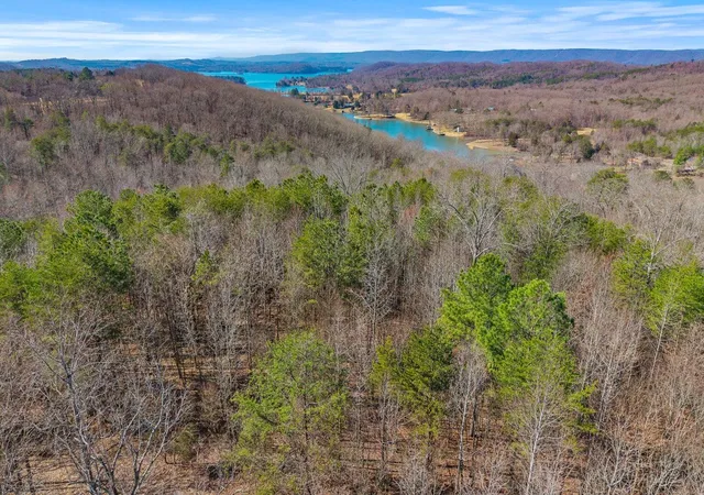 3rd image of 0 Ware Farms Rd, Spring City, TN 37381 | MLS# 1540158