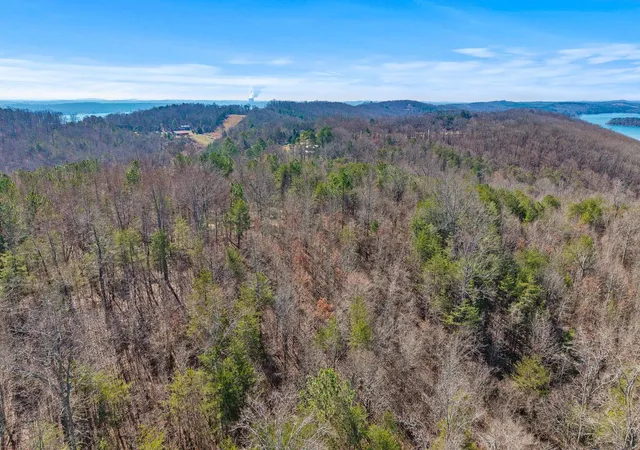 4th image of 0 Ware Farms Rd, Spring City, TN 37381 | MLS# 1540158