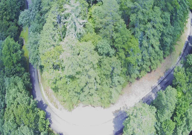 1st image of 1368 Mtn Creek Hollow Dr, Talking Rock, GA 30175 | MLS# 1540193