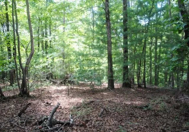 4th image of 1368 Mtn Creek Hollow Dr, Talking Rock, GA 30175 | MLS# 1540193