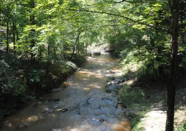 53rd image of 1368 Mtn Creek Hollow Dr, Talking Rock, GA 30175 | MLS# 1540193