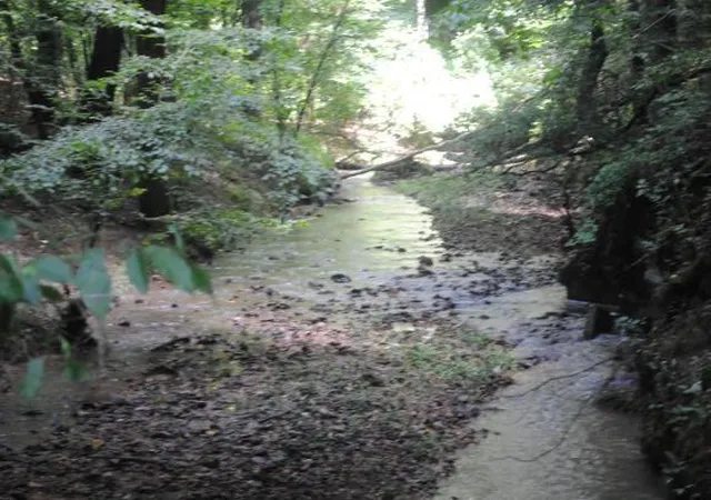 5th image of 1368 Mtn Creek Hollow Dr, Talking Rock, GA 30175 | MLS# 1540193
