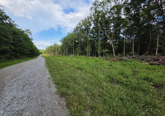 21st image of 18 Meyers Rd, Altamont, TN 37301 | MLS# 1540199