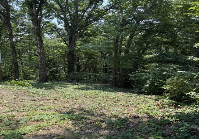 Photo 2 of Single family home for sale at 6524 Lake Shadows Cir, Hixson, TN 37343 | MLS# 1540697 | Listing updated on 2026-08-15