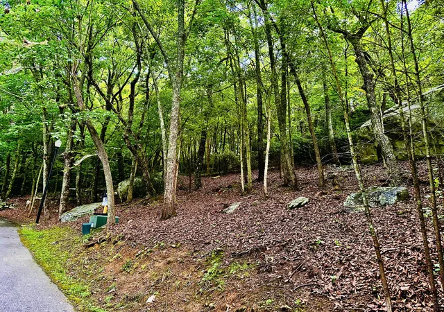 Photo 1 of Land for sale at 0 Eagle Crk Trl #Lot 5, Rising Fawn, GA 30738 | MLS# 1540993 | Listing updated on 2026-09-10