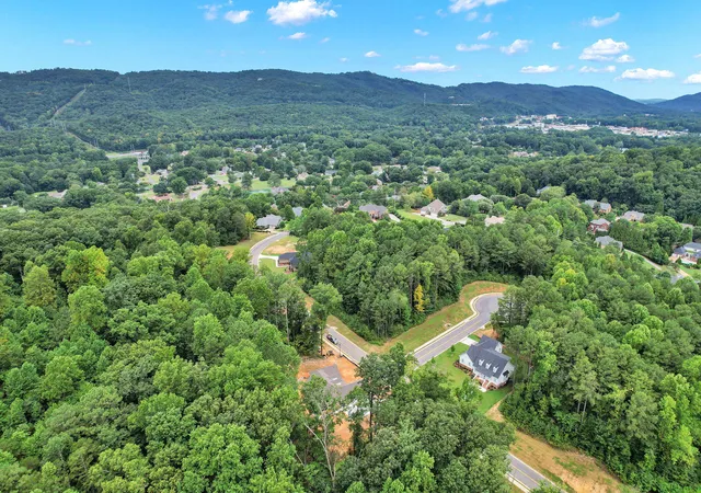 45th image of 1685 Ridgeview Dr, Dalton, GA 30720 | MLS# 1540404