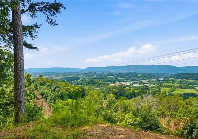 1st image of 00 Pete Graham Rd, Jasper, TN 37347 | MLS# 1540442