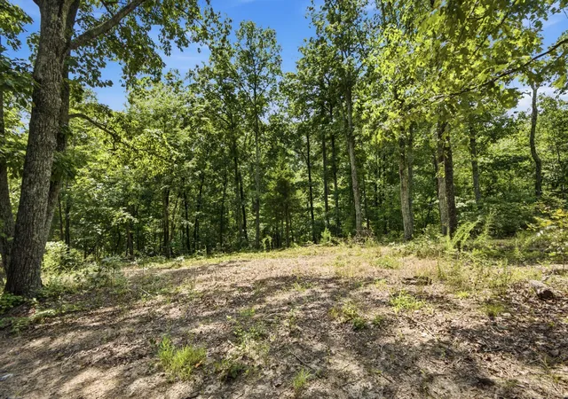 2nd image of 00 Pete Graham Rd, Jasper, TN 37347 | MLS# 1540442