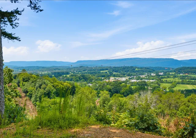 Photo 3 of Land for sale at 00 Pete Graham Rd, Jasper, TN 37347 | MLS# 1540442 | Listing updated on 2026-09-16