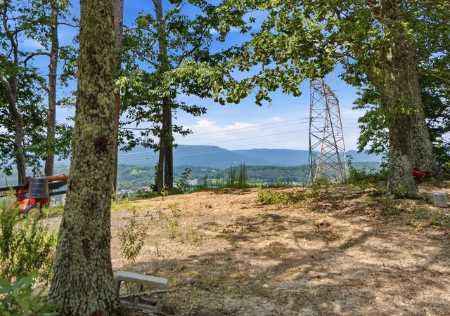 Photo 4 of Land for sale at 00 Pete Graham Rd, Jasper, TN 37347 | MLS# 1540442 | Listing updated on 2026-09-16
