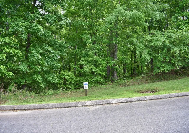 2nd image of 450 Hidden Forest Trl, Spring City, TN 37381 | MLS# 1540430