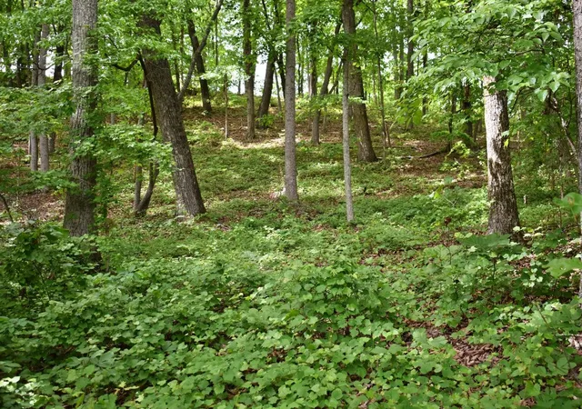 5th image of 450 Hidden Forest Trl, Spring City, TN 37381 | MLS# 1540430