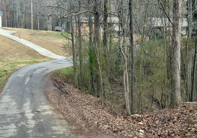 2nd image of 000 Adams St, Spring City, TN 37381 | MLS# 1540433