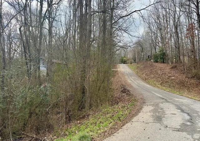 3rd image of 000 Adams St, Spring City, TN 37381 | MLS# 1540433