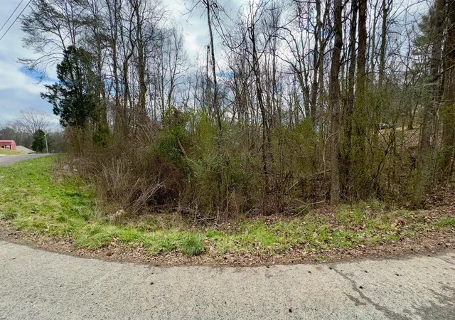 4th image of 000 Adams St, Spring City, TN 37381 | MLS# 1540433