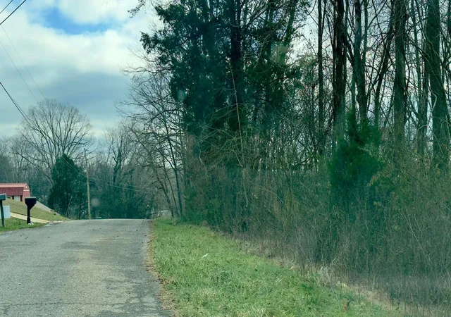 5th image of 000 Adams St, Spring City, TN 37381 | MLS# 1540433